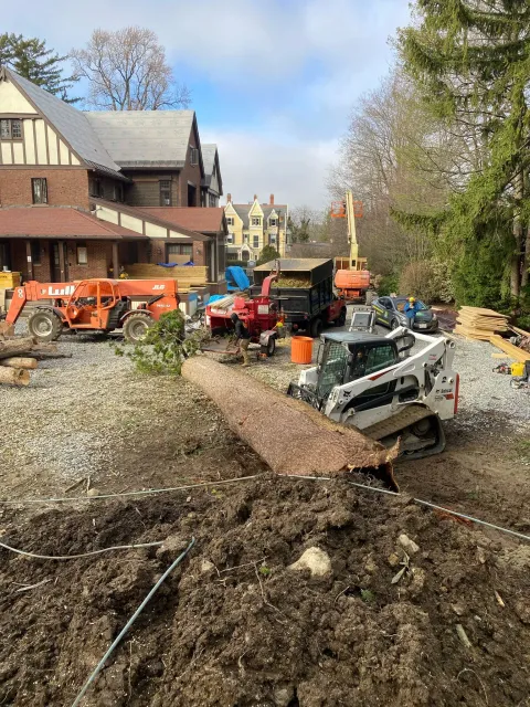 work photo from adantreeservices.com