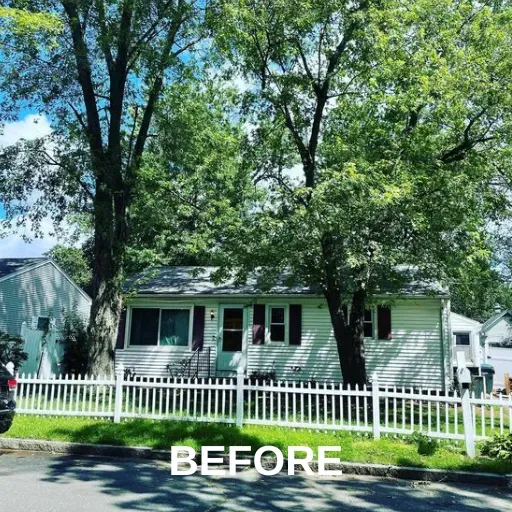 Trees Near The Fence — Ware, MA — LaBier Brothers Tree Experts