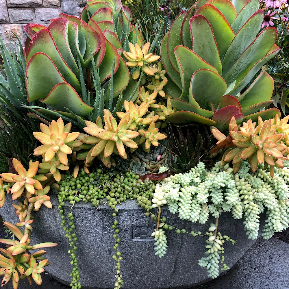 work photo from vistahorticulturalservices.com
