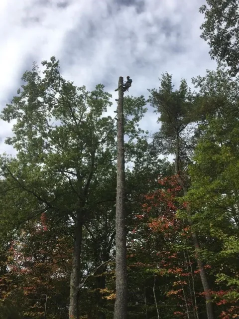 climb2.jpg