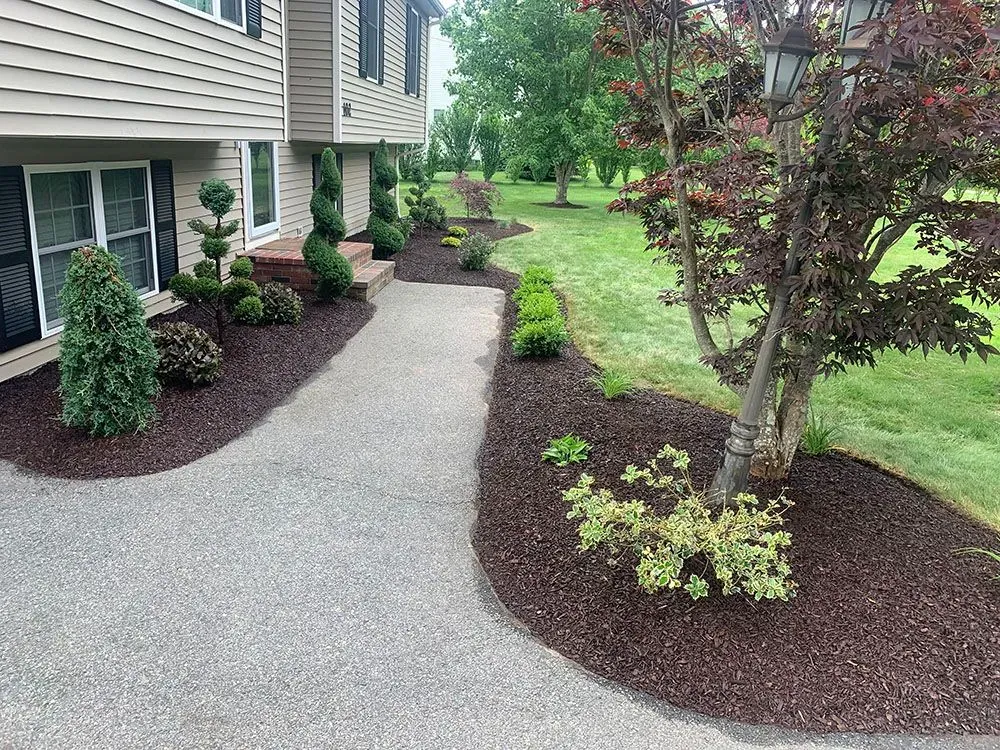 Garden with gravel walkway.