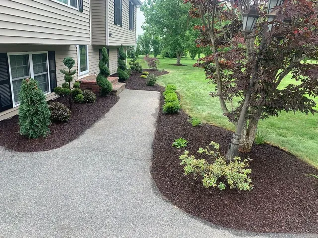 Garden with gravel walkway.
