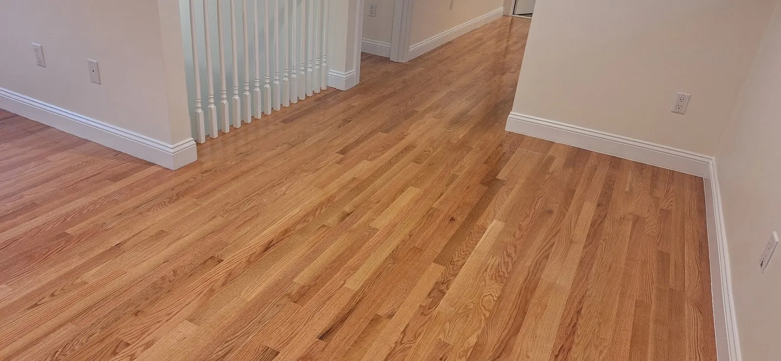 Quality One1 Inc | Painting & Carpentry
