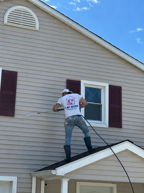 L&F Boss painting LLC work photo