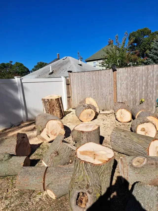 work photo from treeservice-lynn.com