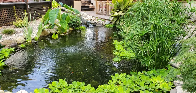 Ponds Of New England work photo
