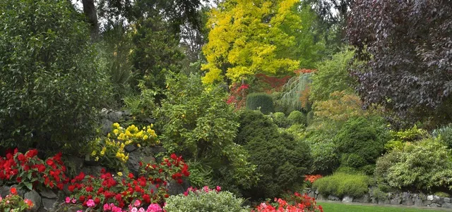 Residential landscaping