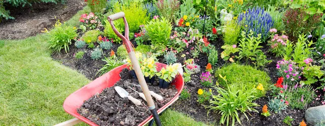Hardscaping Services