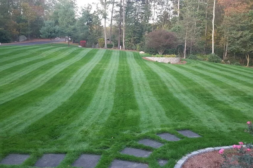 Landscaping Services