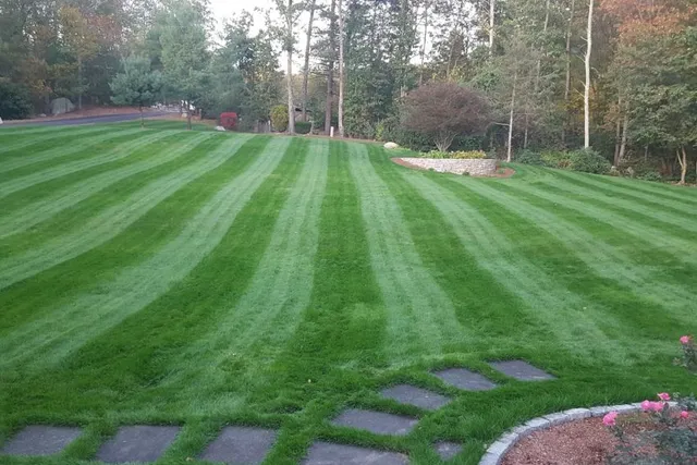 Landscaping Services