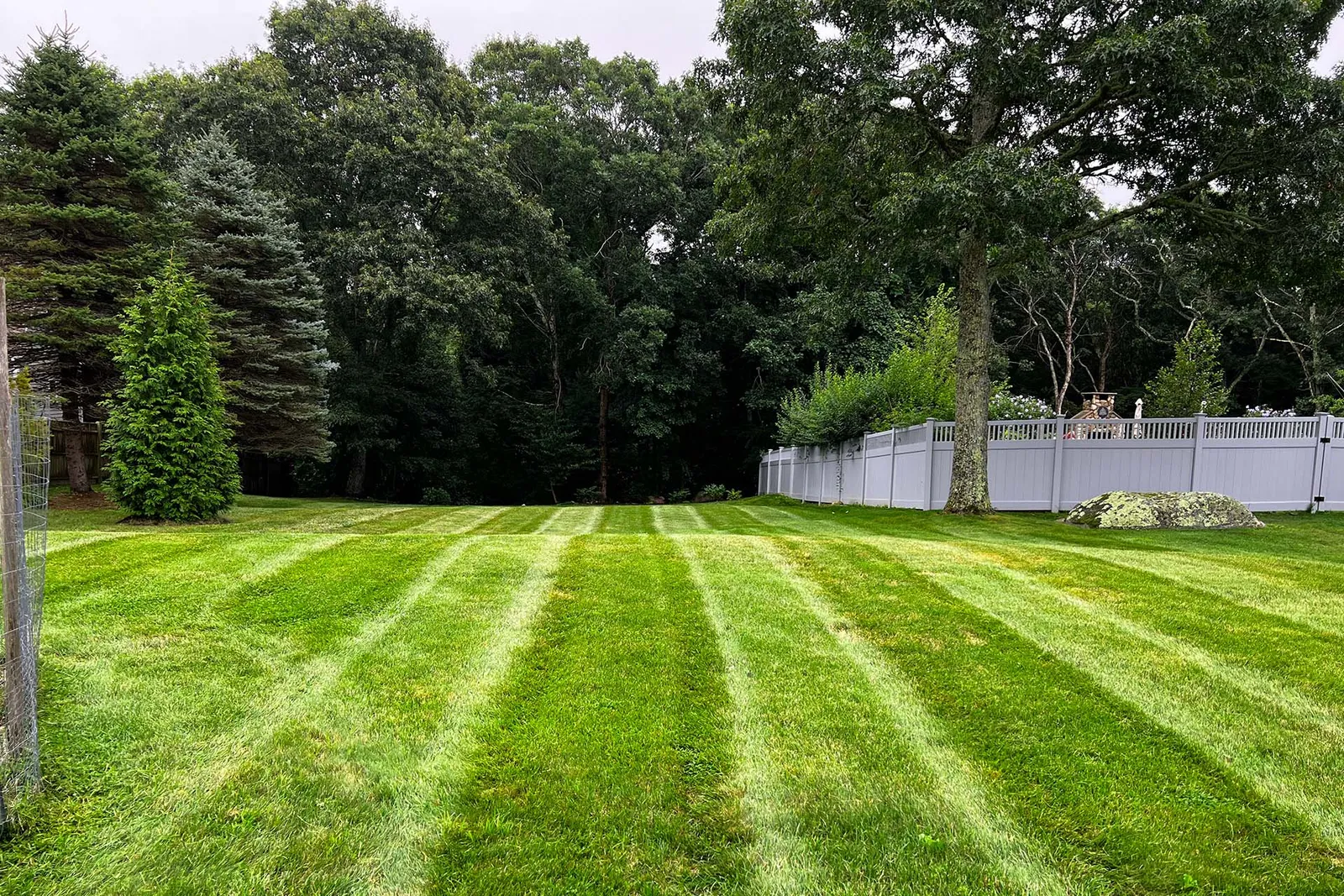 lawn stripes after lawn care services near me