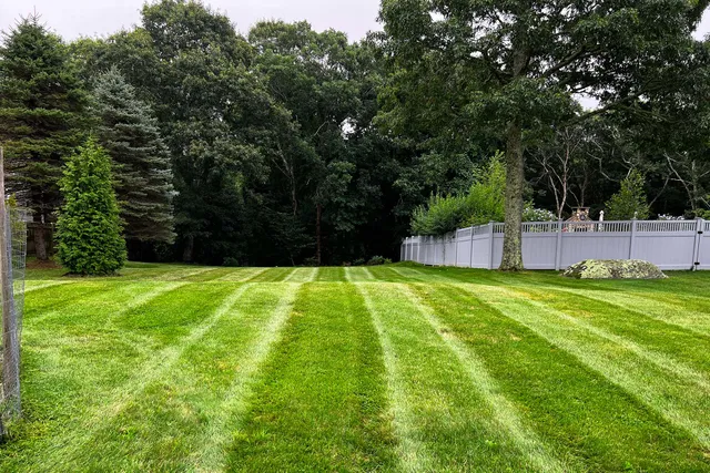 lawn stripes after lawn care services near me