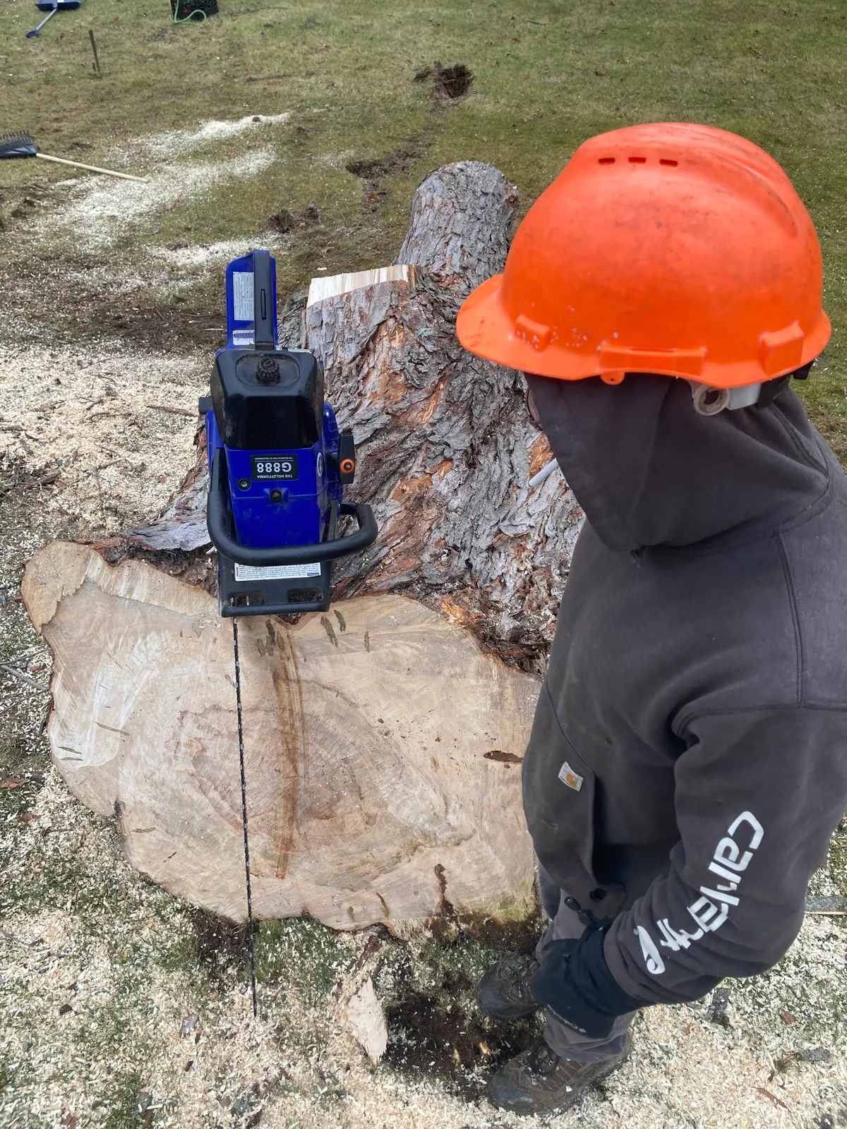 work photo from Google listing