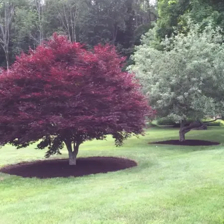 work photo from caneparislandscaping.com