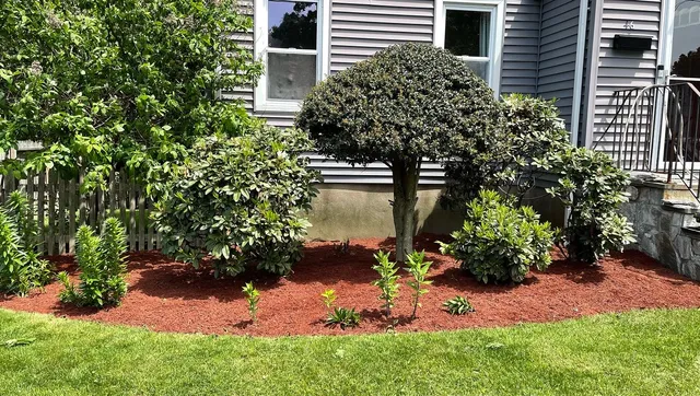 Galt Lawn Care & Landscaping LLC work photo