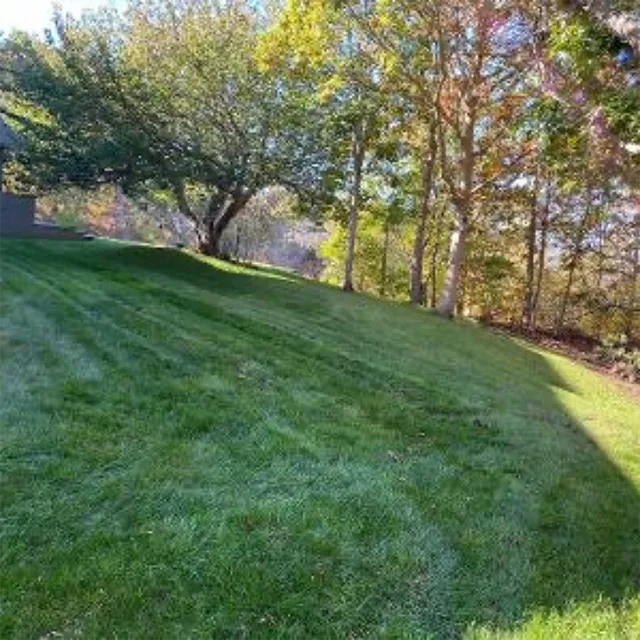 work photo from gentlenaturelandscaping.com