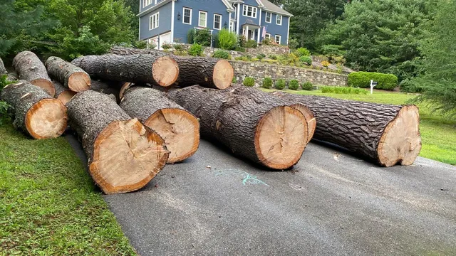 Sebastian Landscaping & Tree Services LLC