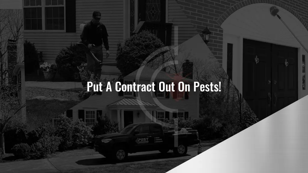 Pest Assassins