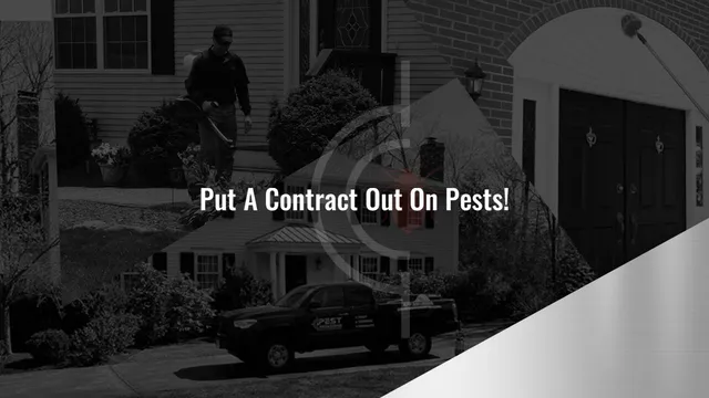 Pest Assassins