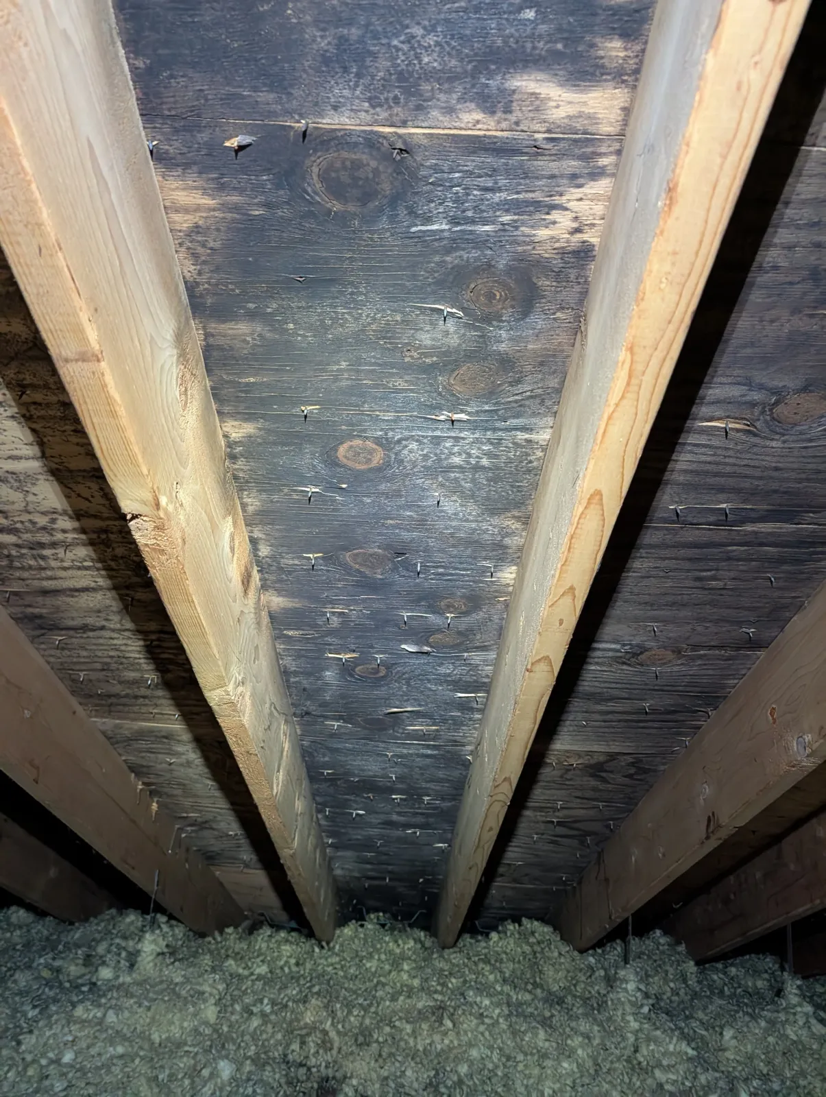 View of the underside of a wooden floor or ceiling with spaced nails and insulation material on the ground below.