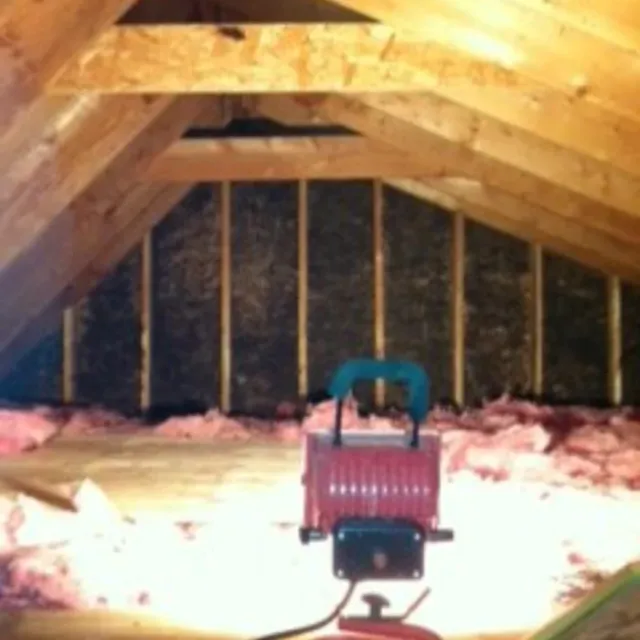 Affordable Mold Removal work photo