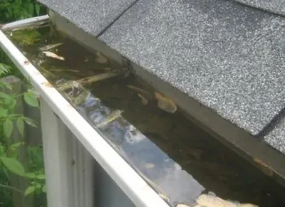 gutter cleaning