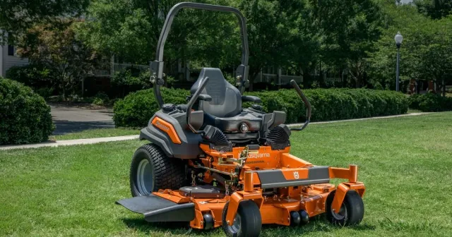Spring/Fall Cleanup