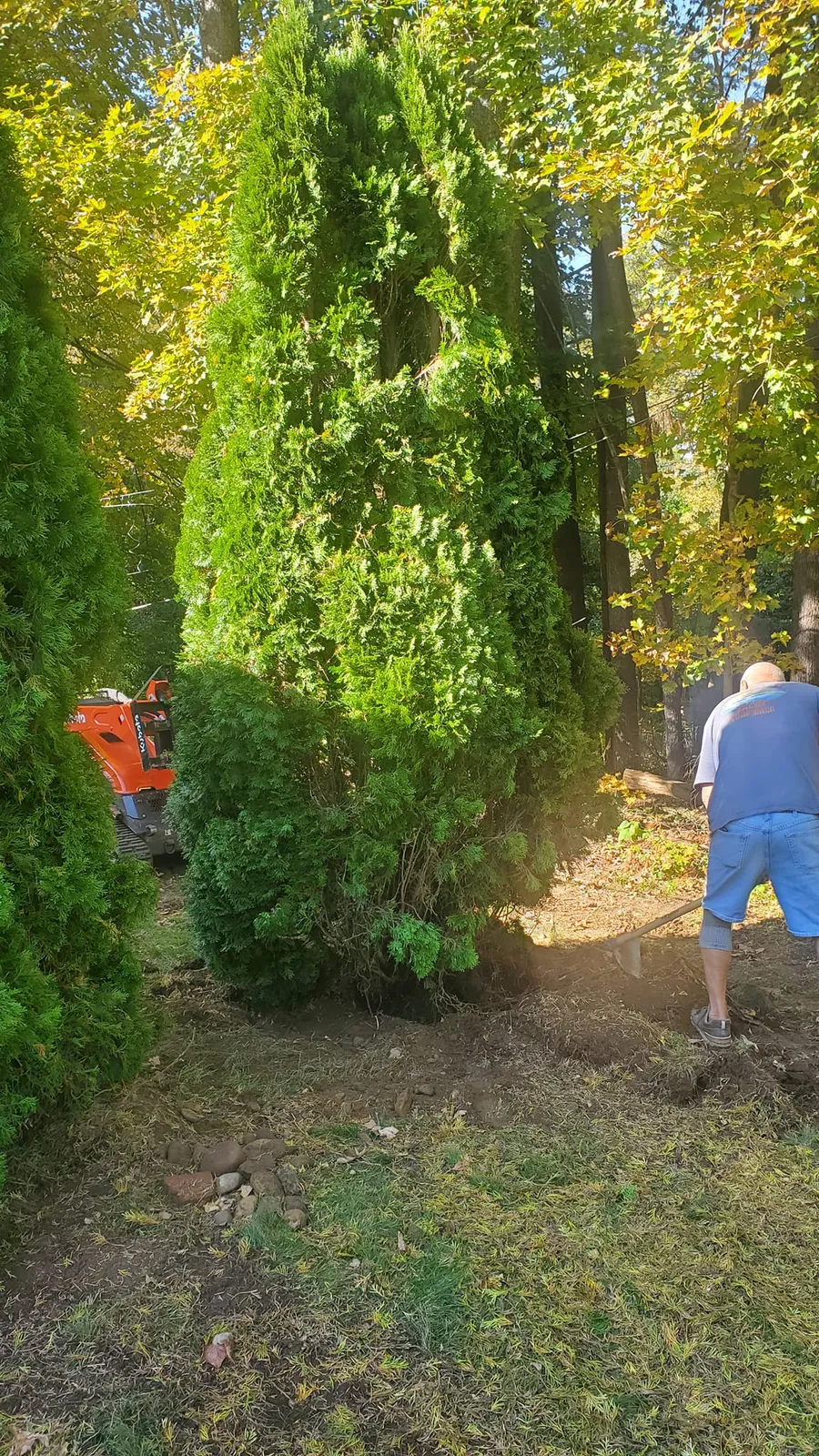 work photo from evolutionearthscapesllc.com