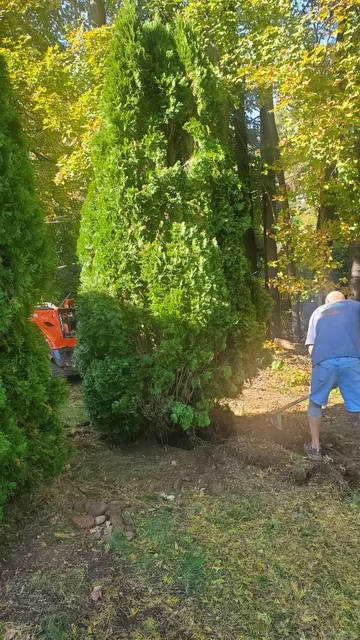 work photo from evolutionearthscapesllc.com