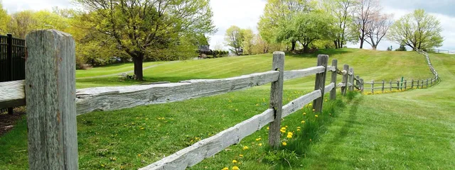 Fencing