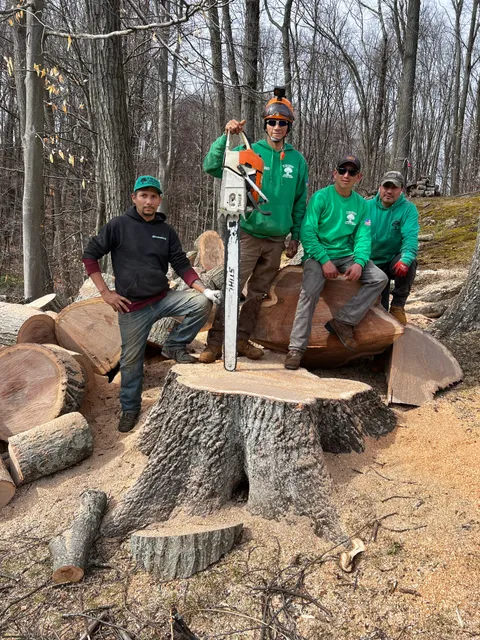HD Tree Services and Landscaping llc work photo