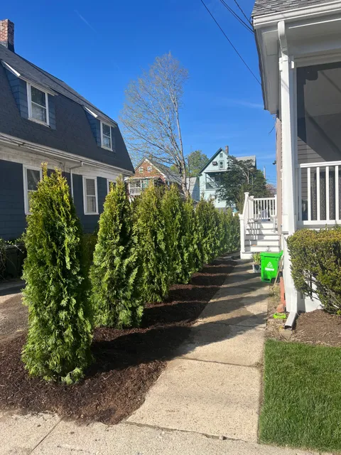 Ideal Lawn Care work photo