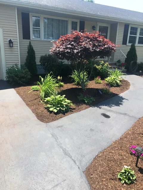Precision Landscaping & Design work photo