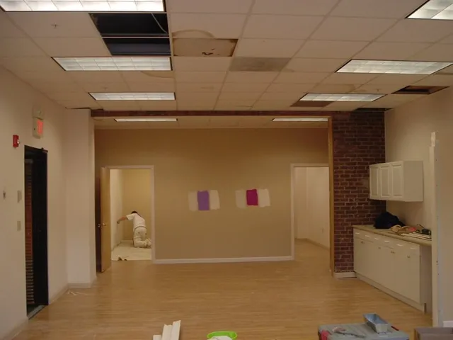 work photo from paintworksplus.com