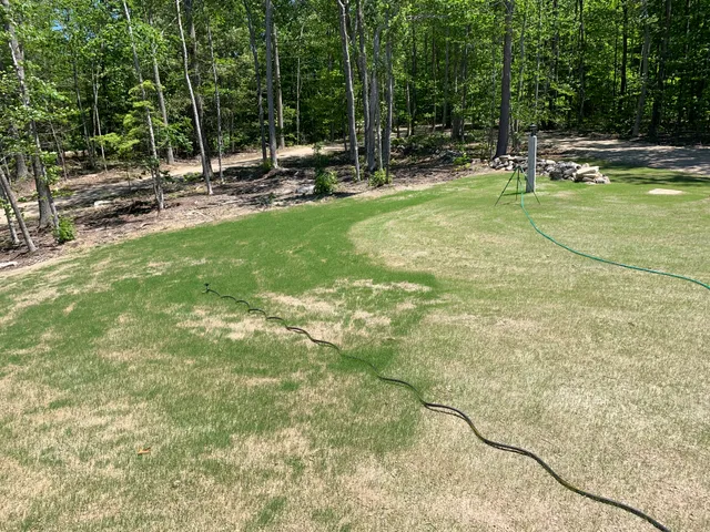 Realgreen Services work photo