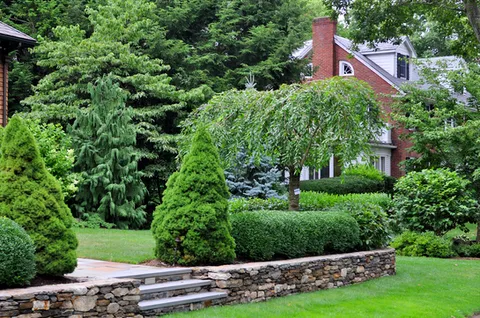 Indresano Landscaping work photo