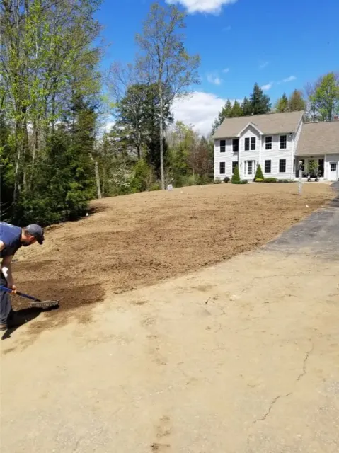 Landscaping Front Yard