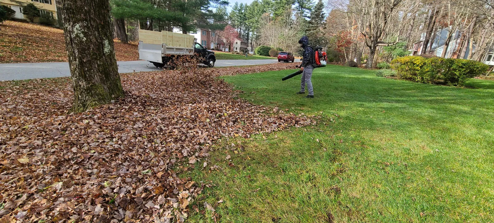 work photo from Google listing