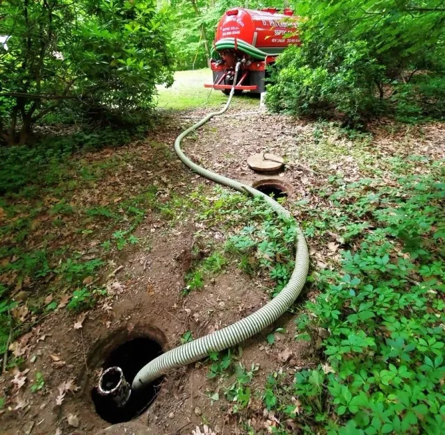D Palladino & Son Septic Co researched project photo