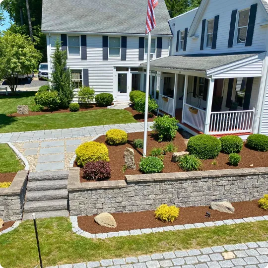 plantings-about