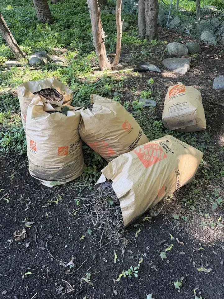 Bags of crown roots weeds and debris collected during the garden bed cleanup