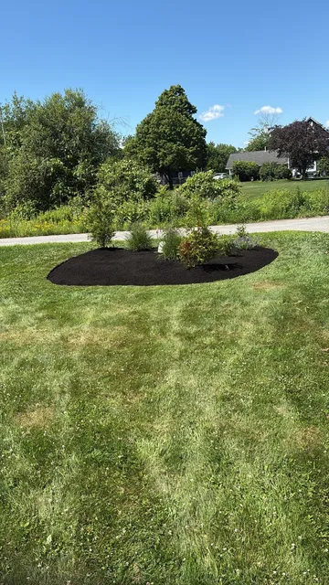 High Quality Landscaping work photo