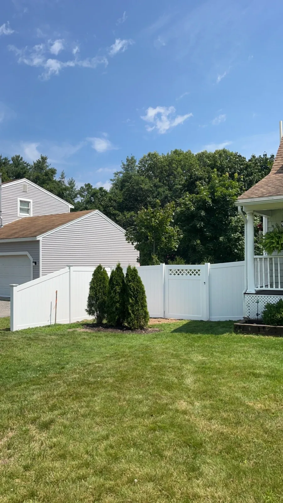A backyard with a lush green lawn, white vinyl fence, three small evergreen trees, and a house with a porch on the right. In the background, there are other houses, a dense green tree line, and a clear blue sky with a few scattered clouds.
