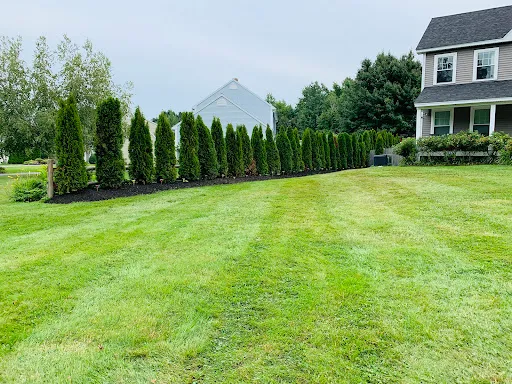 Tailor Done Lawn Care work photo