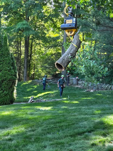 Review photo by Jason Czar