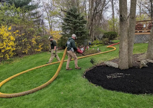 C&M Tree and Landscaping, Inc work photo