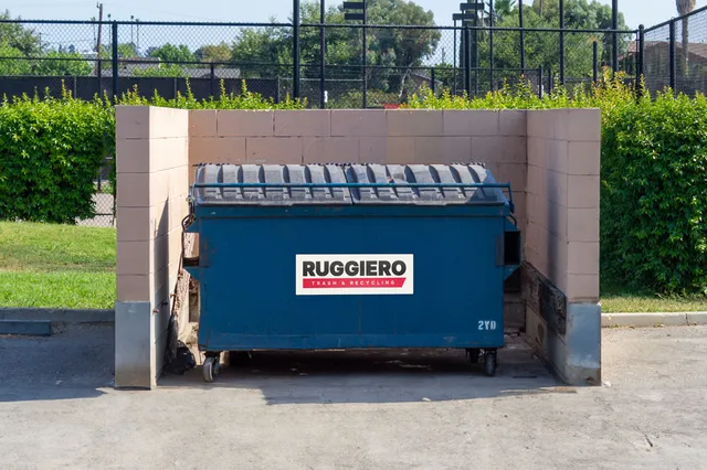 Ruggiero Trash Removal work photo