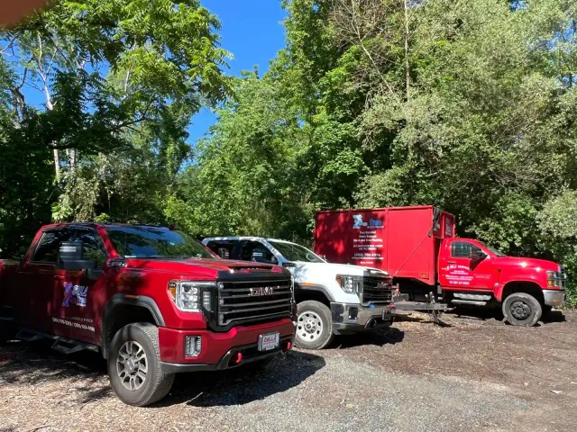 work photo from emltreeservices.com