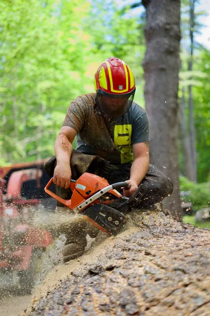 work photo from gardnertreeme.com