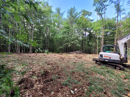 Granite Tree Service work photo